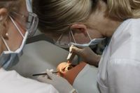 Zahnmedizin in in Riga in der Pre-Clinic studieren